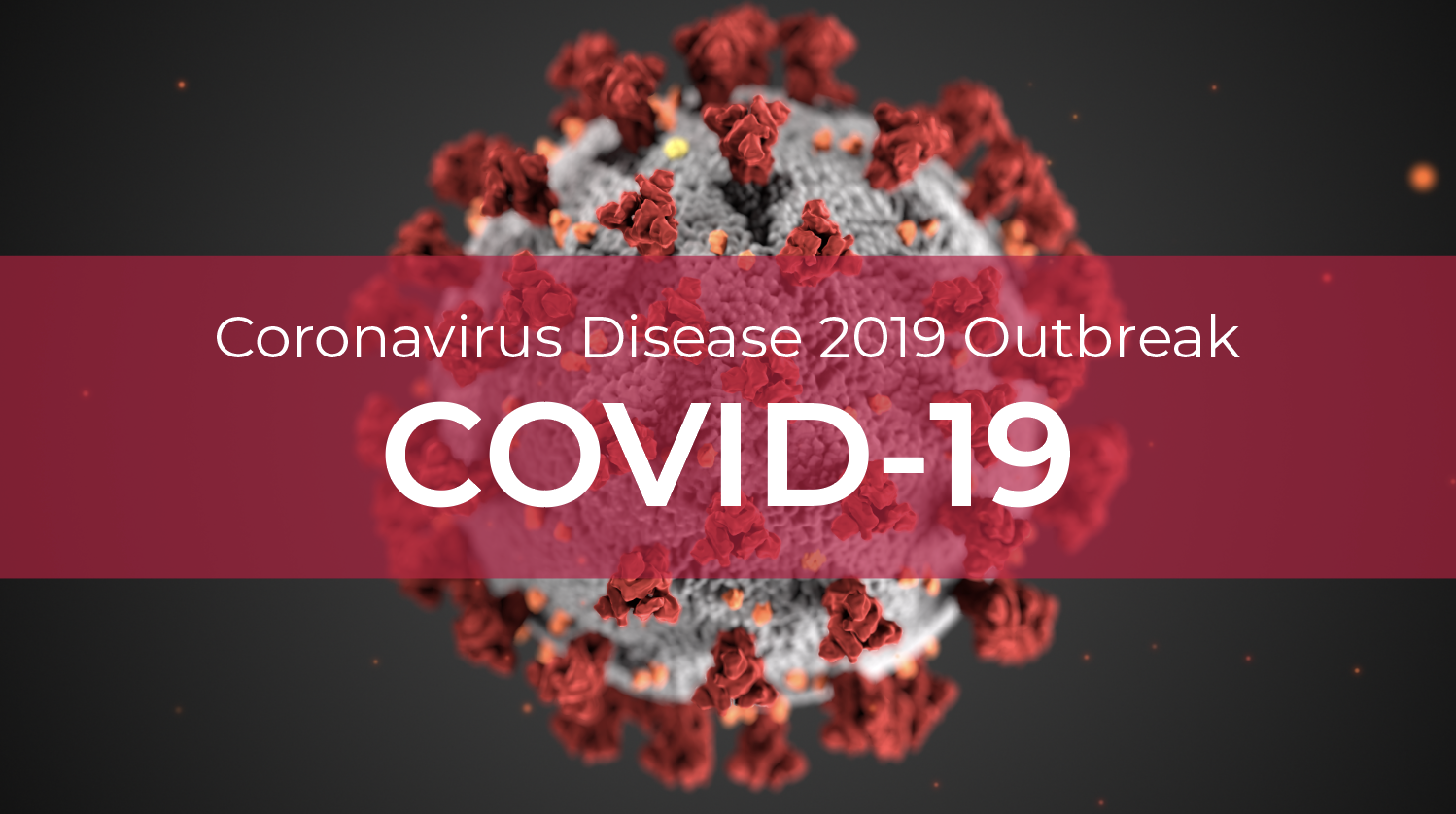 Covid 19, The Global Pandemic