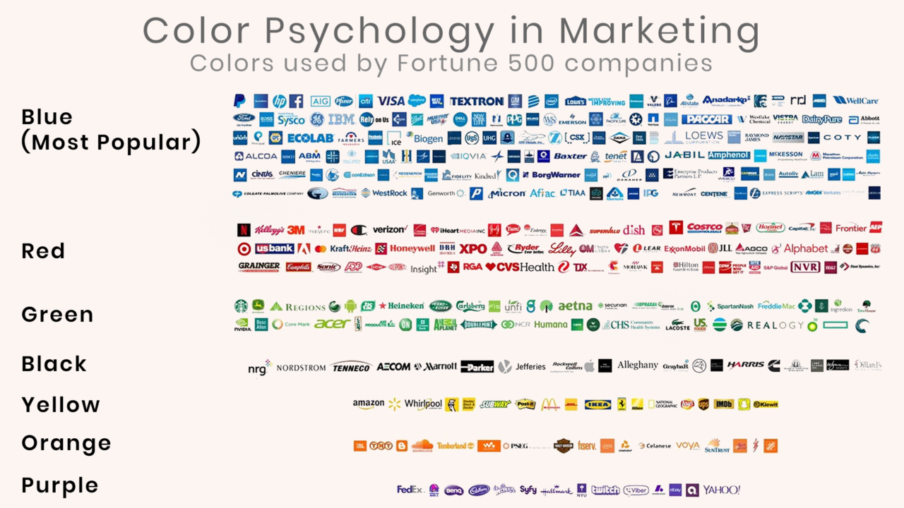 How To Become An Entrepreneur After 12th Using Color Psychology