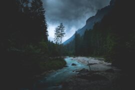 Karsten Wurth 7bjhtdogu3a Unsplash