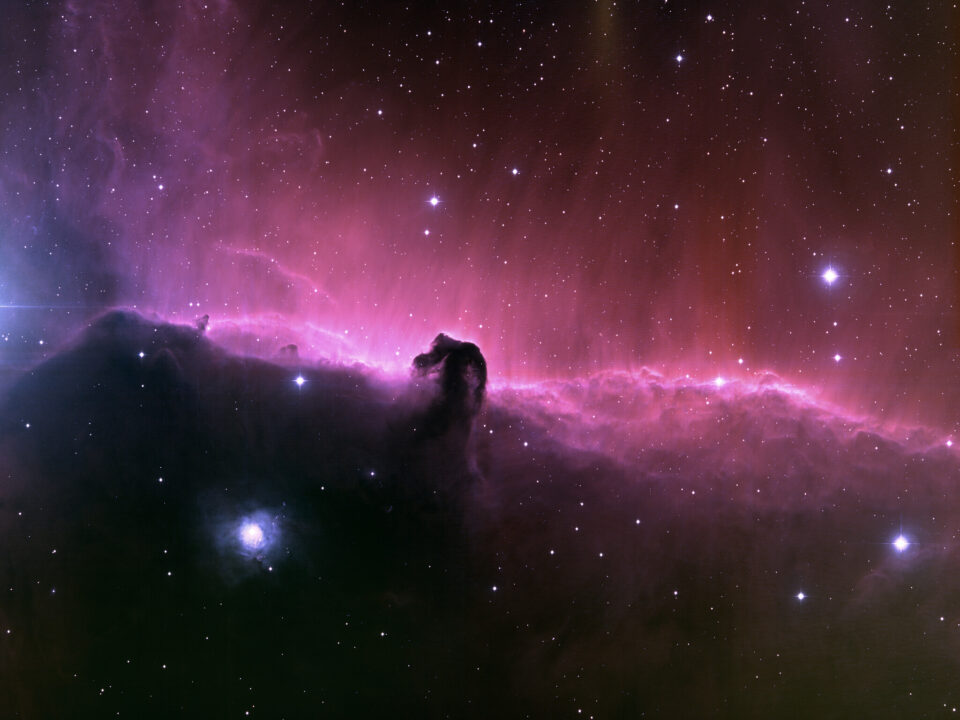 The Horsehead Nebula/ic434