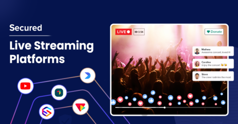 Live Streaming Platforms Milyin