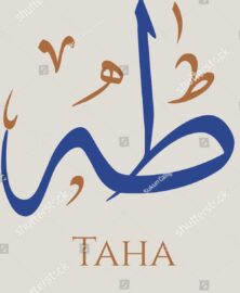 Stock Vector Creative Arabic Calligraphy Taha A Male Name With An Arabic Origin Used In The Holy Quran Logo 1945279819