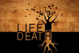 Life And Death