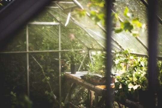 Greenhouse