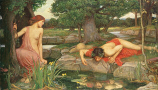 Narcissus