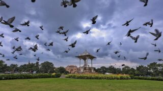 Monsoon Clouds