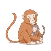 Cartoon Illustration Mother Monkey Hug Baby Monkey 49924 180 4247893993