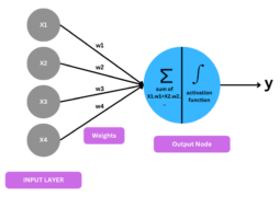 Perceptron 1