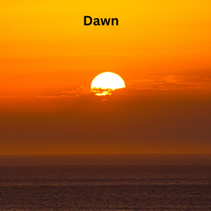 Dawn (1)