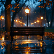 Learnings From The Rain