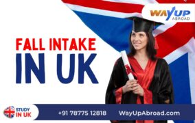 Fall Intake In Uk
