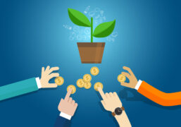 Startup Financial Instruments