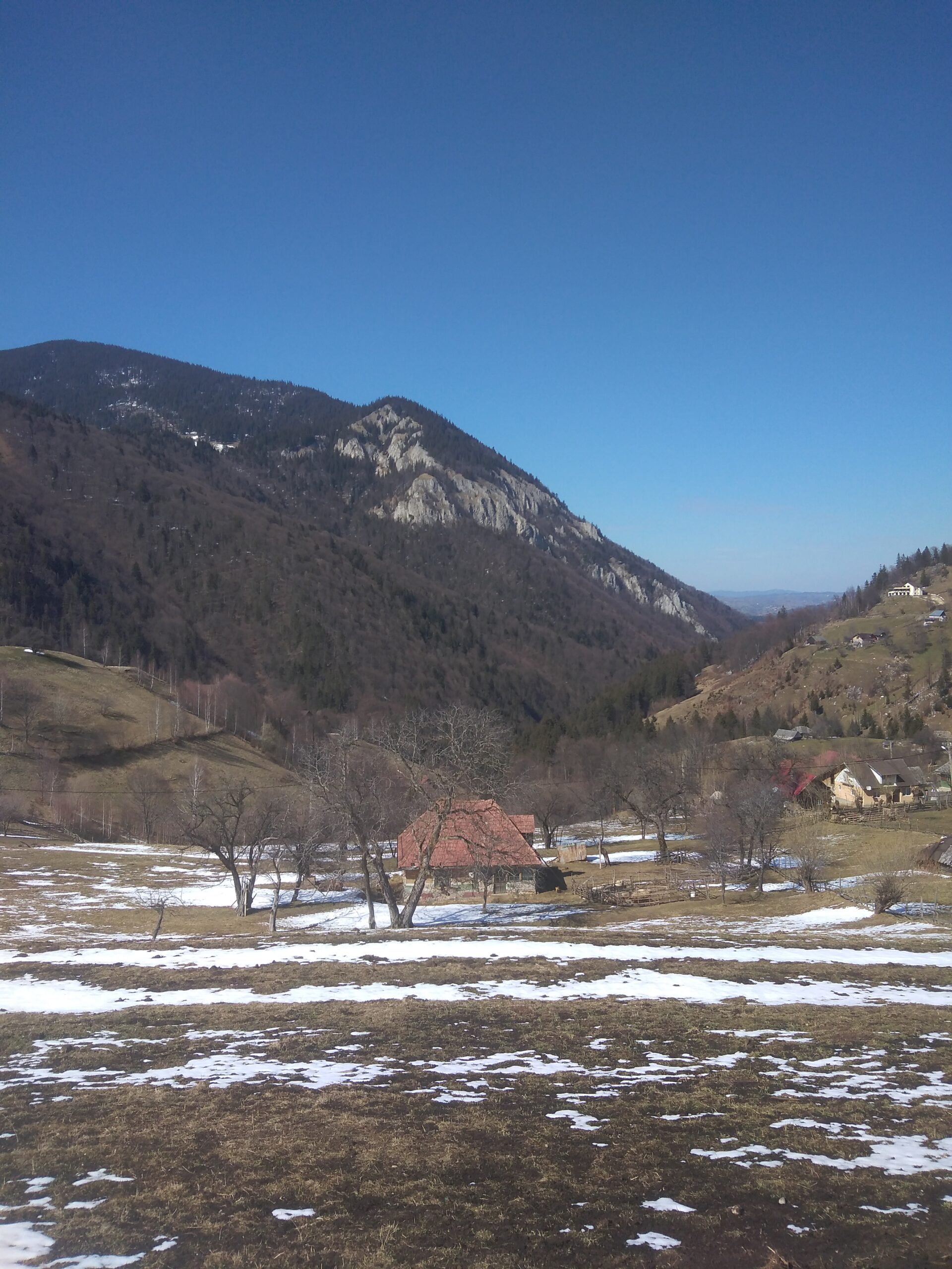 Img 20210410 153521