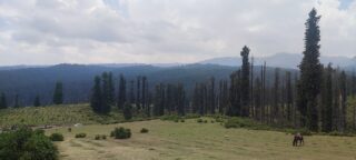 Img 20240724 121222