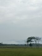 Img 9940