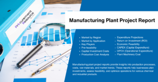 Manufacturing Plant Project Report