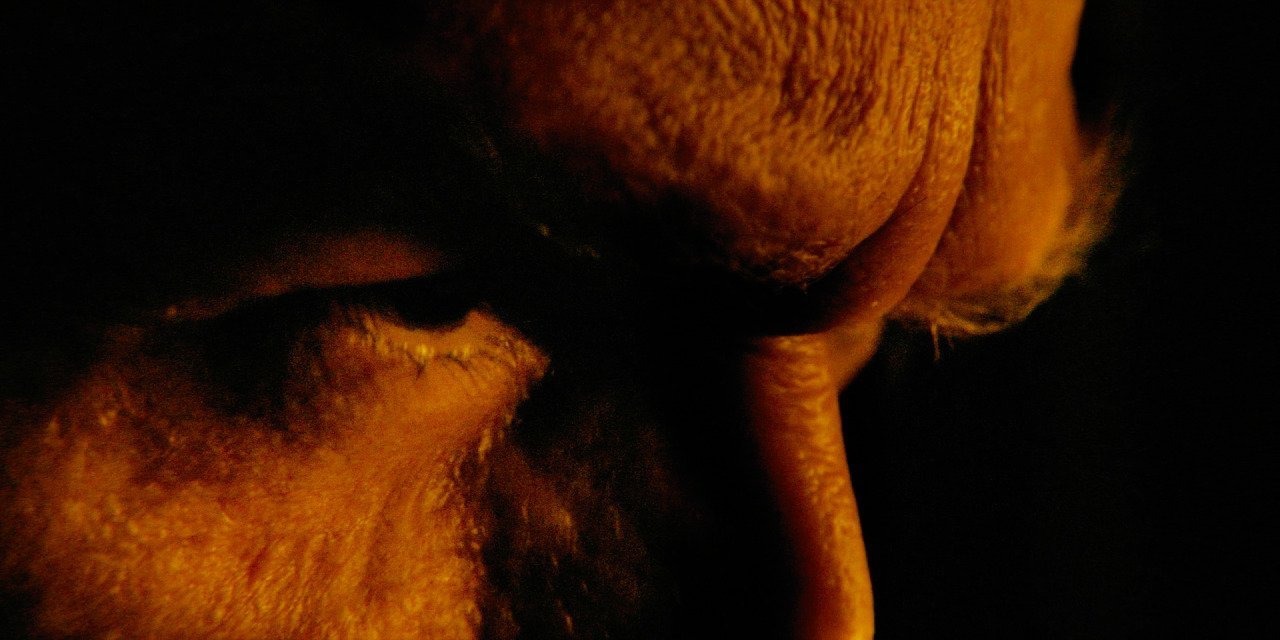 Penguin 2024 Stunning Cinematography Photo Gallery 1