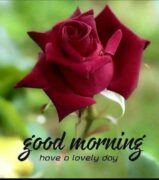 Img 20250426 Wa0018