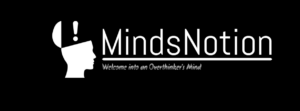 mindsnotion29